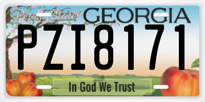 GA license plate PZI8171