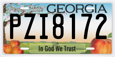 GA license plate PZI8172