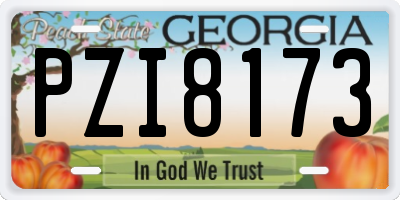 GA license plate PZI8173