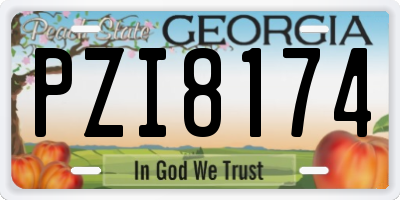 GA license plate PZI8174