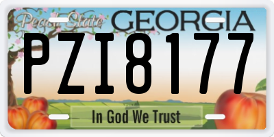 GA license plate PZI8177