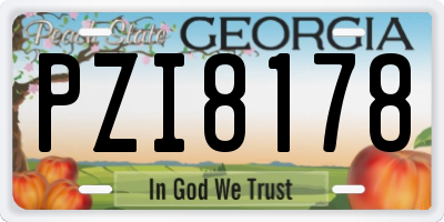 GA license plate PZI8178