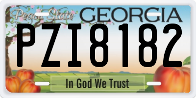 GA license plate PZI8182