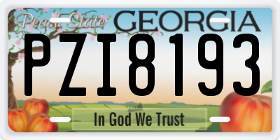 GA license plate PZI8193