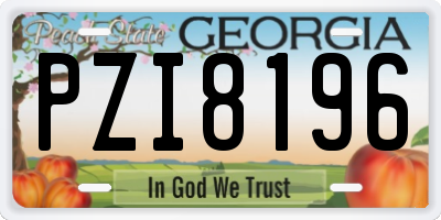 GA license plate PZI8196
