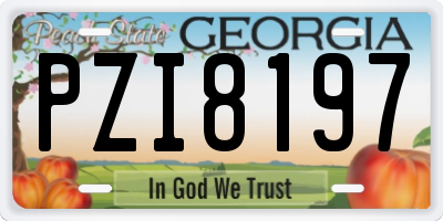 GA license plate PZI8197
