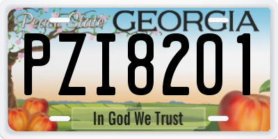 GA license plate PZI8201