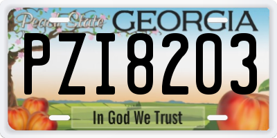 GA license plate PZI8203