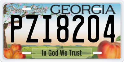 GA license plate PZI8204