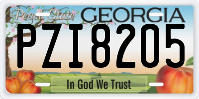 GA license plate PZI8205