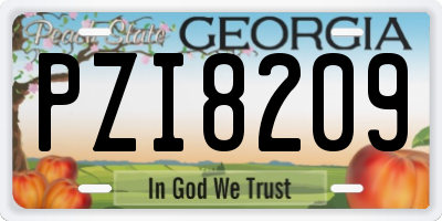 GA license plate PZI8209