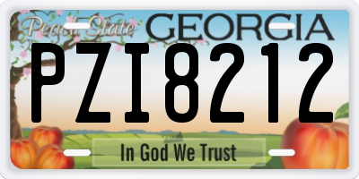 GA license plate PZI8212