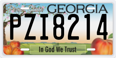 GA license plate PZI8214