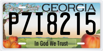 GA license plate PZI8215