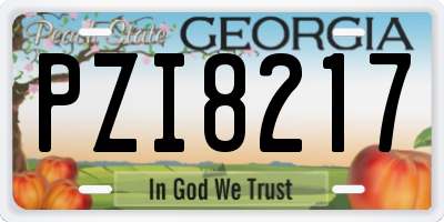 GA license plate PZI8217