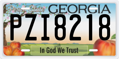 GA license plate PZI8218