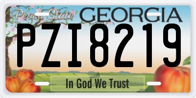 GA license plate PZI8219
