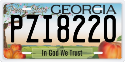 GA license plate PZI8220