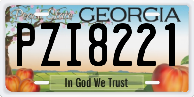 GA license plate PZI8221