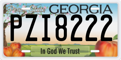 GA license plate PZI8222