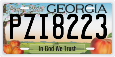GA license plate PZI8223