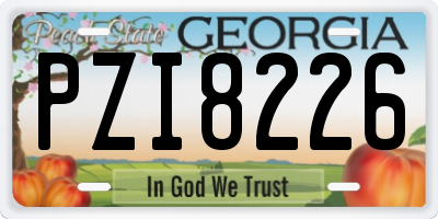GA license plate PZI8226