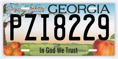 GA license plate PZI8229