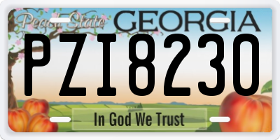 GA license plate PZI8230