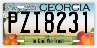 GA license plate PZI8231