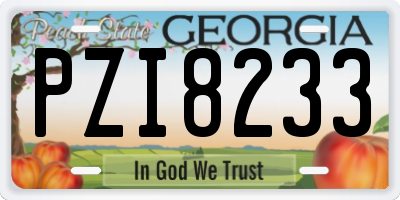 GA license plate PZI8233