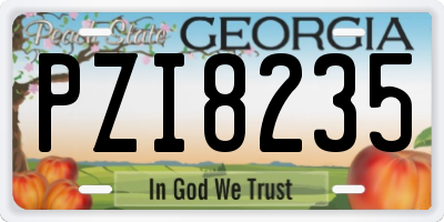 GA license plate PZI8235