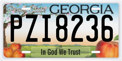 GA license plate PZI8236