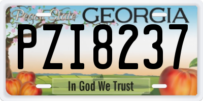 GA license plate PZI8237