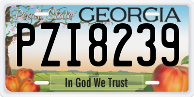 GA license plate PZI8239
