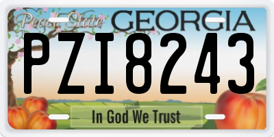 GA license plate PZI8243
