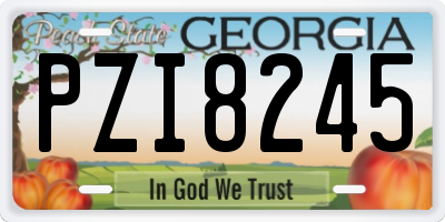 GA license plate PZI8245