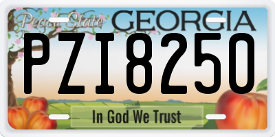 GA license plate PZI8250