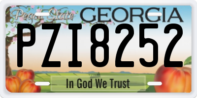 GA license plate PZI8252