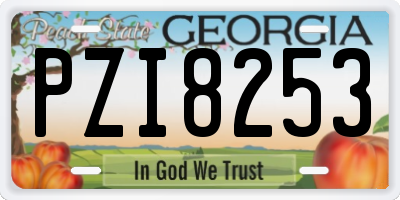 GA license plate PZI8253
