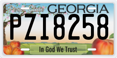 GA license plate PZI8258