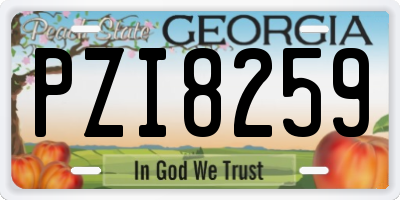 GA license plate PZI8259