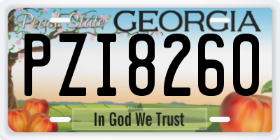GA license plate PZI8260