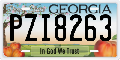 GA license plate PZI8263