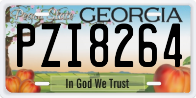 GA license plate PZI8264