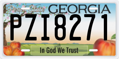 GA license plate PZI8271