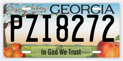 GA license plate PZI8272