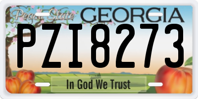 GA license plate PZI8273