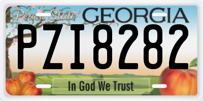GA license plate PZI8282