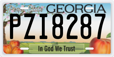 GA license plate PZI8287