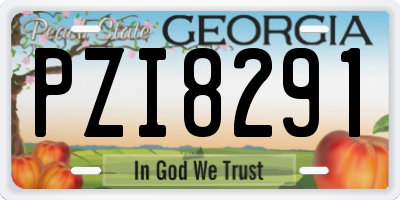 GA license plate PZI8291